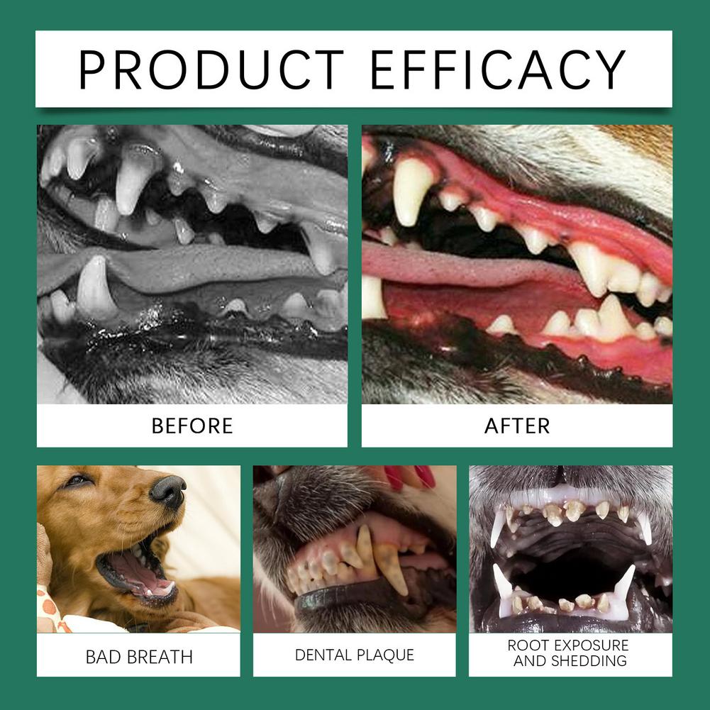 Proszek do czyszczenia zębów p – Teeth Whitening Mouthwash recenzja i cena