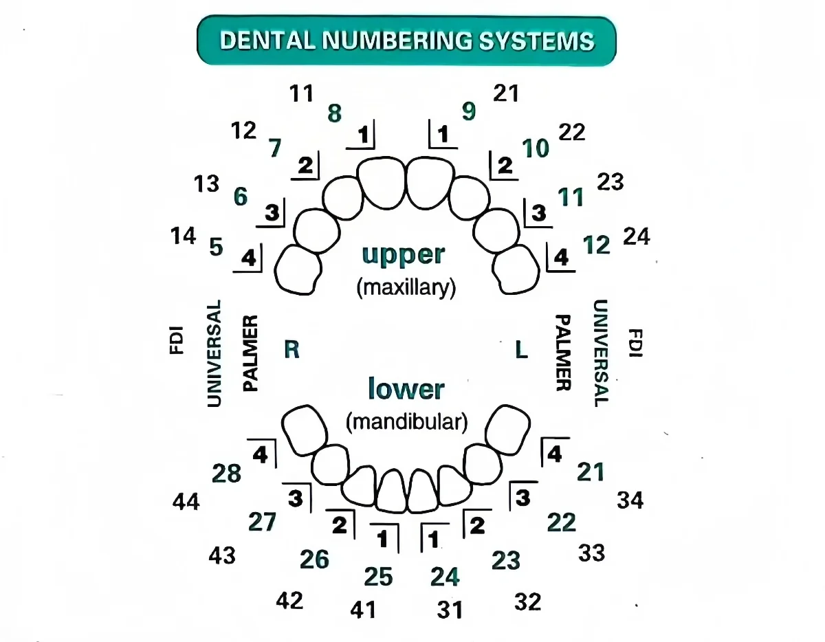 32 szt./zestaw Formy do licówe – Teeth Whitening Moulds recenzja i cena
